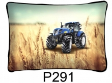 Párna P291 Téglalap - 01