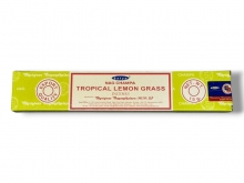 F.SATYA NAG CHAMPA TROP.LEM.GR - 01
